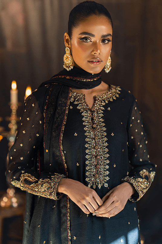 Black Embroidered Khaddi Net & Raw Silk Salwar Kameez (3-Piece) - Image 5