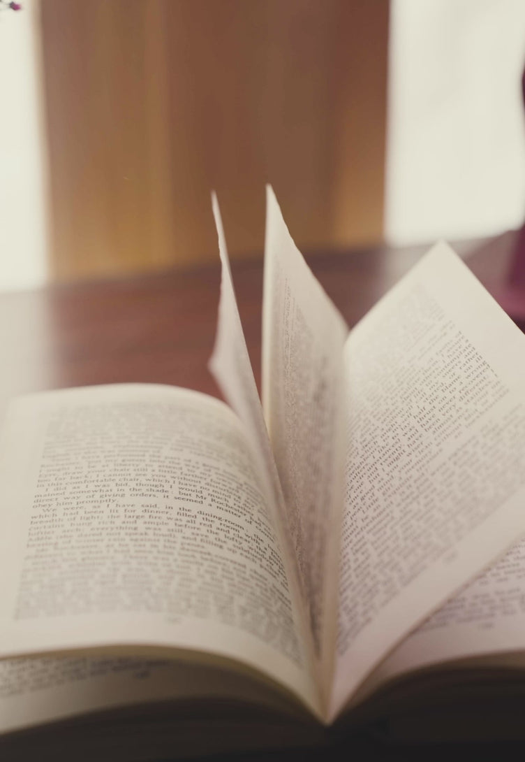 Black Embroidered Net & Silk 3-Piece Suit - Image 3