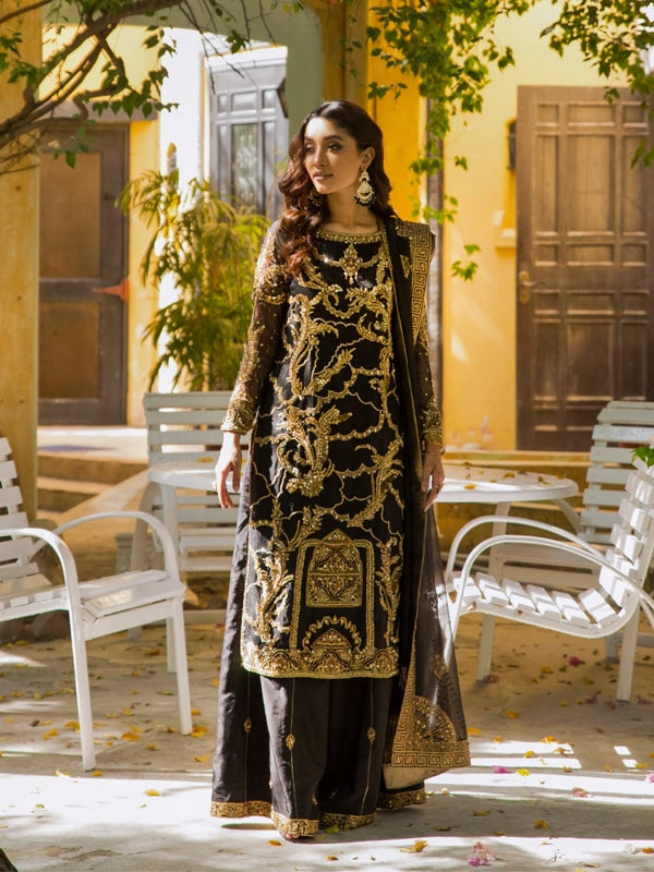 Pakistani Black Sequin Embroidered Organza Salwar Kameez (3-Piece) - Image 1
