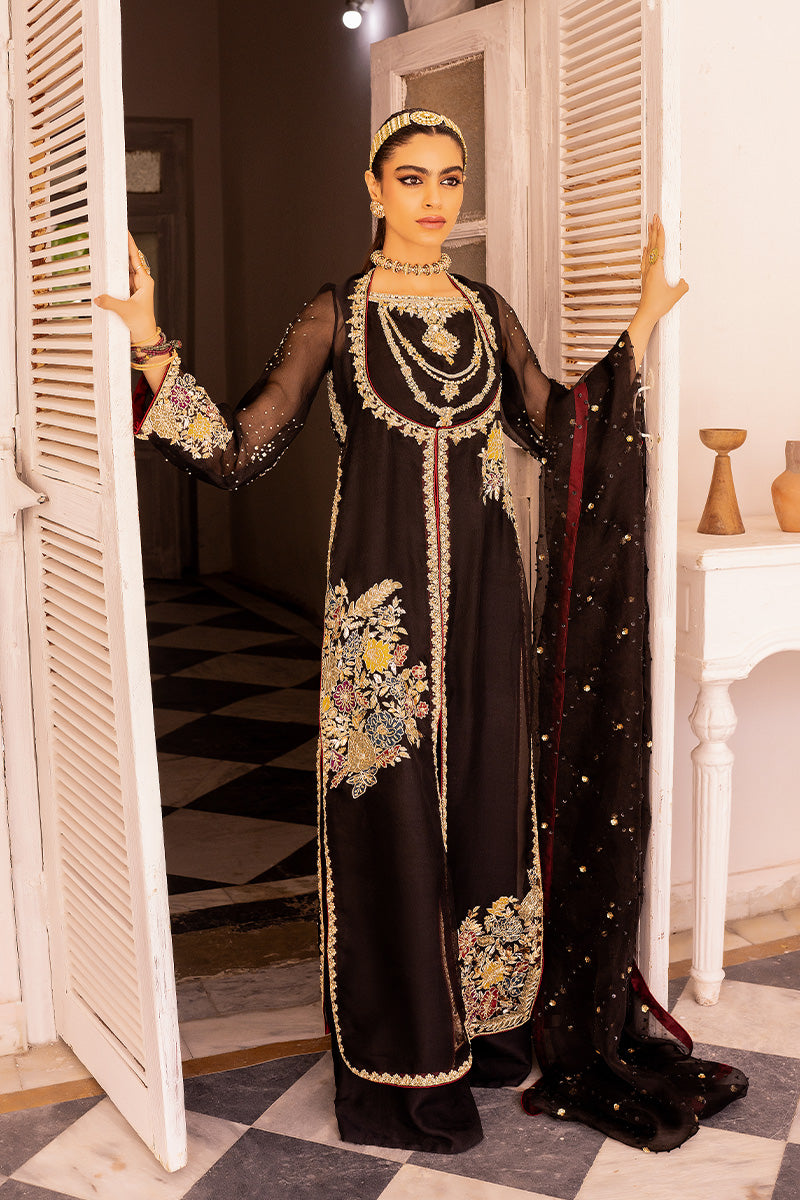 Pakistani Black Hand Embroidered Organza & Silk Jacket (3-Piece) - Image 1