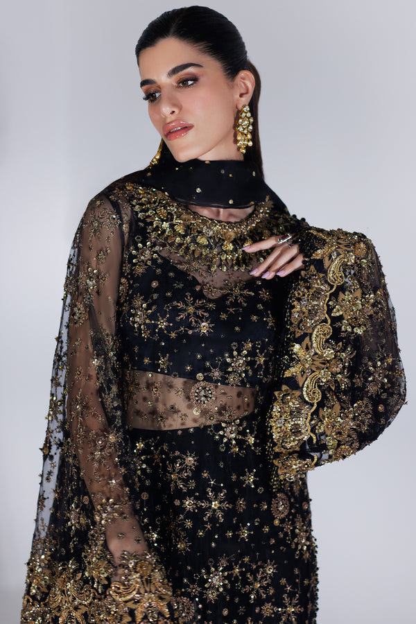 Black Embellished Organza Salwar Kameez (3-Piece) - Image 3