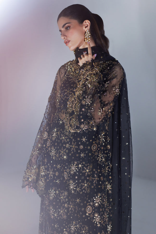 Black Embellished Organza Salwar Kameez (3-Piece) - Image 4