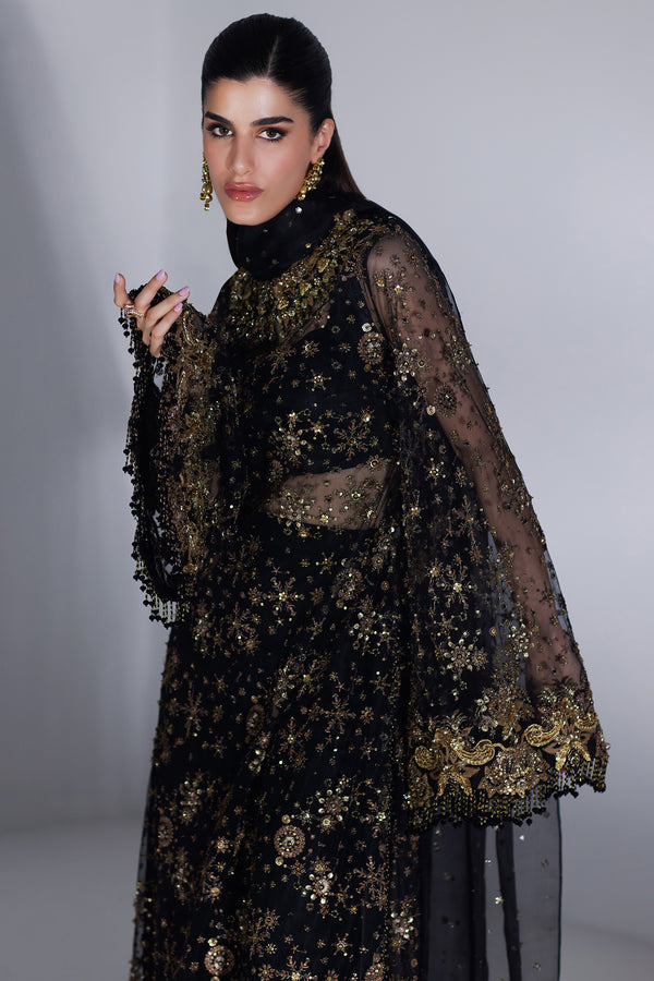 Black Embellished Organza Salwar Kameez (3-Piece) - Image 5