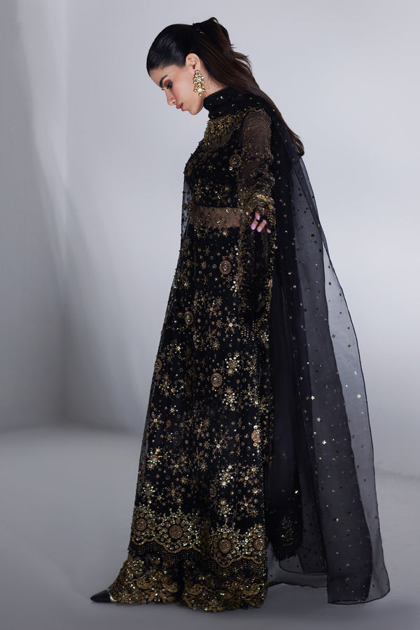Black Embellished Organza Salwar Kameez (3-Piece) - Image 6