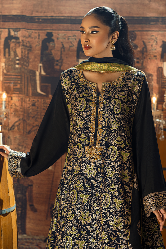 Black Embroidered PK Raw Silk Salwar Kameez (3-Piece) - Image 3
