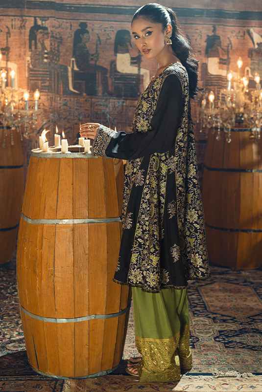 Black Embroidered PK Raw Silk Salwar Kameez (3-Piece) - Image 5