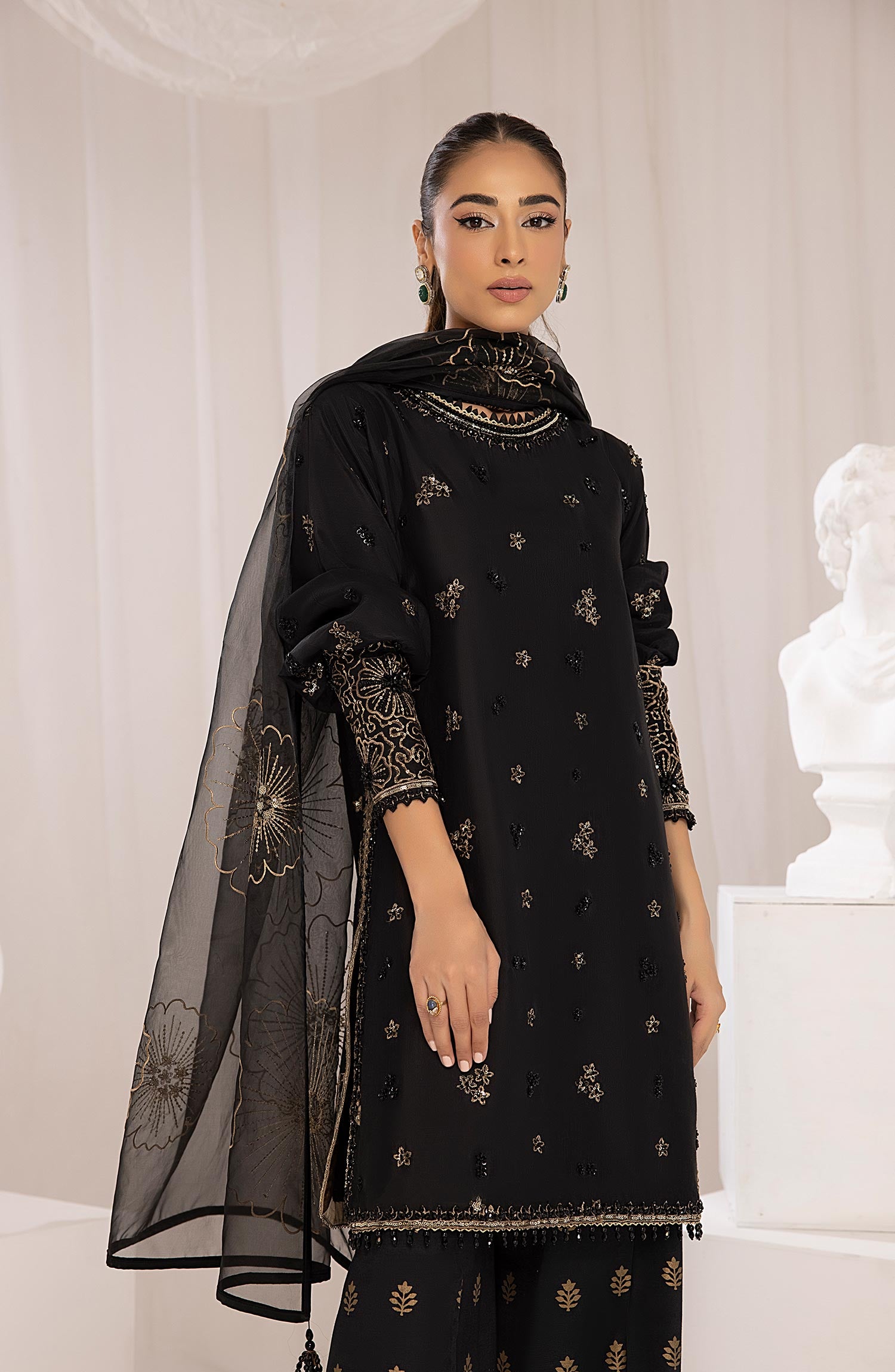 Black Resham & Tilla Silk Organza Salwar Kameez (3-Piece) - Image 5