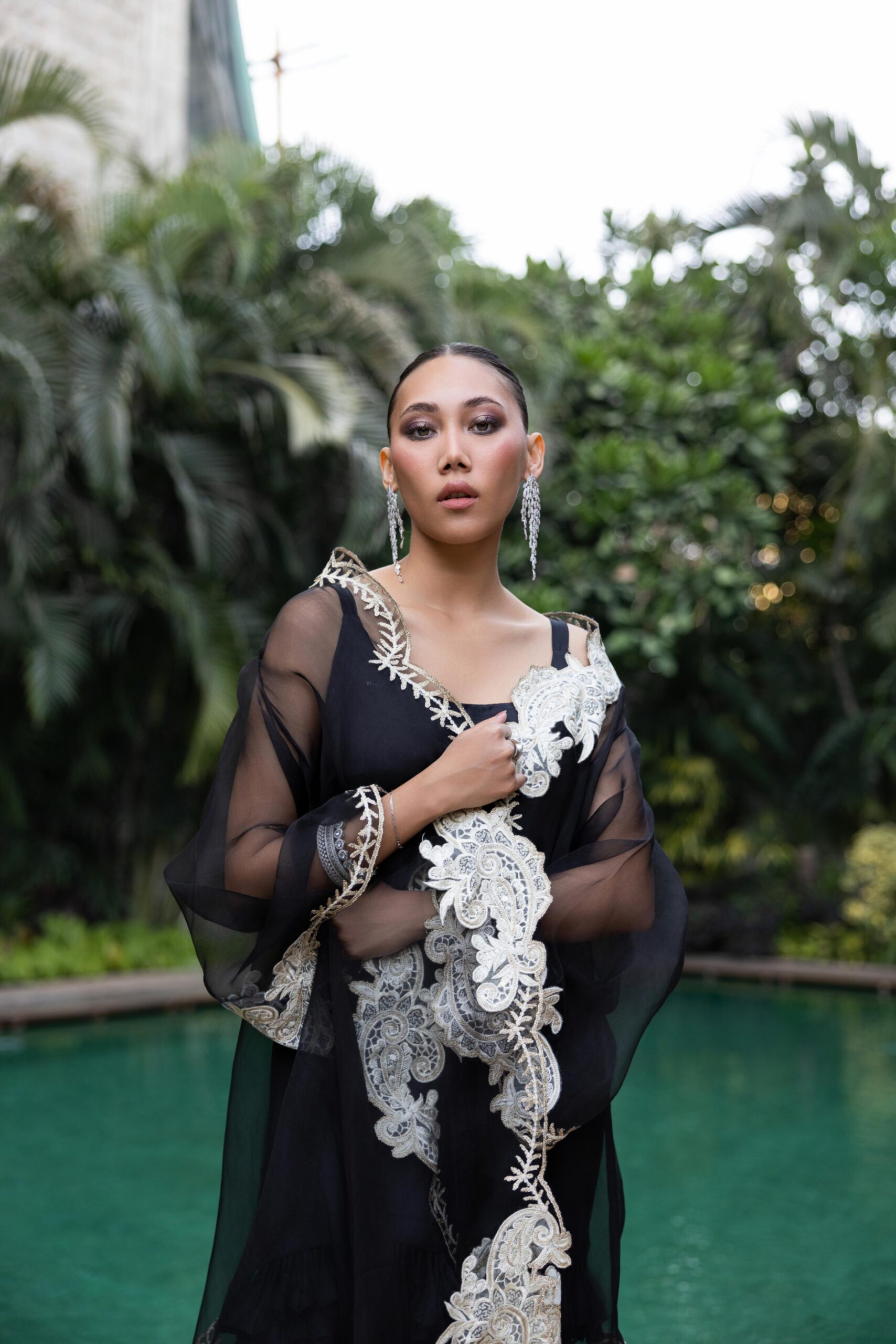 Black Embroidered Pure Organza Cape Dress (2-Piece) - Image 5