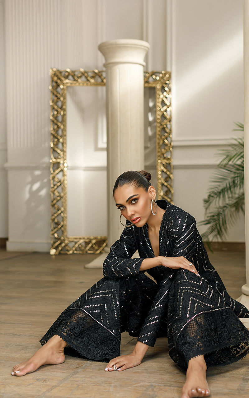 Black Embroidered Organza Jacket & Trouser (2-Piece) - Image 4