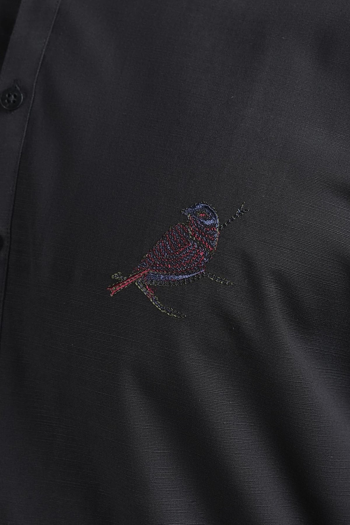 Black Embroidered Egyptian Cotton Kurta (1-Pc) - Image 3