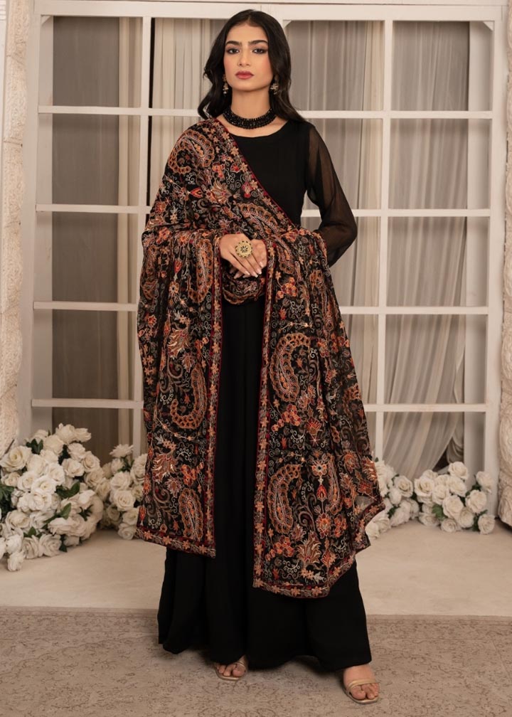 Black Embroidered Chiffon Pishwas Dress (2-Piece) - Image 1
