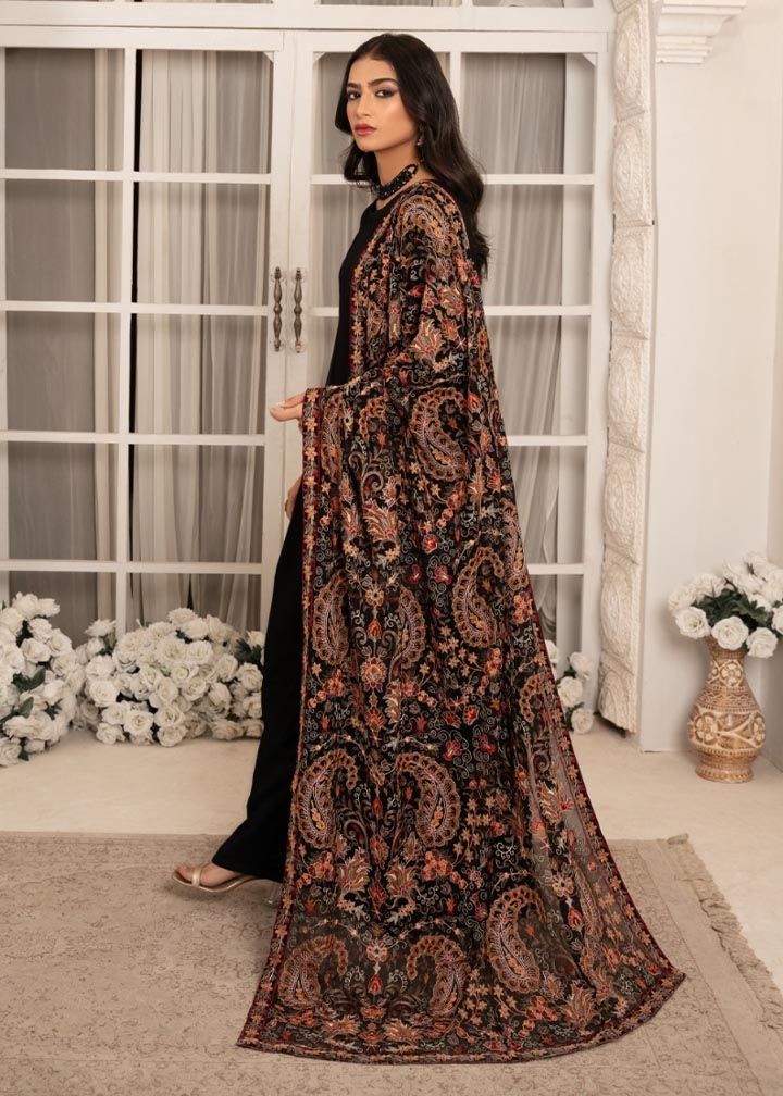Black Embroidered Chiffon Pishwas Dress (2-Piece) - Image 5