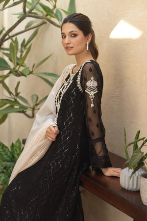 Black Sequined Chiffon Salwar Kameez (3-Piece) - Image 6