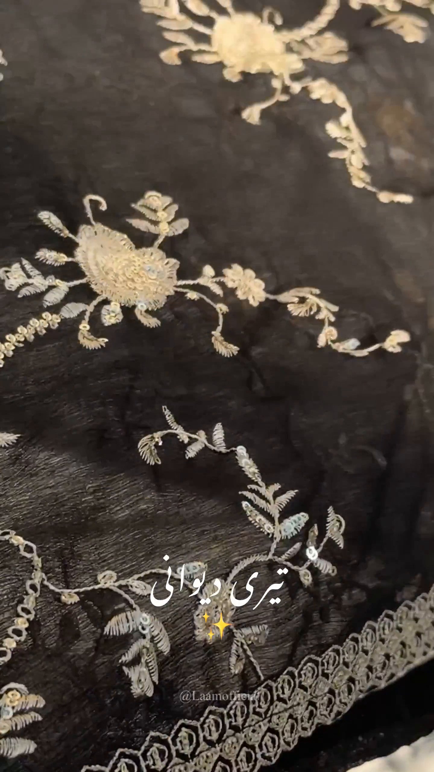 Black Embroidered Chiffon Straight Kurta Set (3-Piece) - Image 9