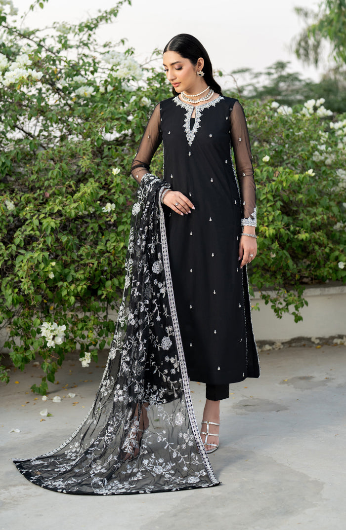 Pakistani Black Hand-Embellished Net Salwar Kameez (3-Piece) - Image 3