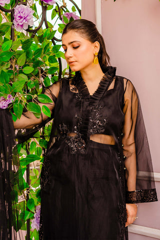 Black Floral Embellished Organza Salwar Kameez (3-Piece) - Image 3