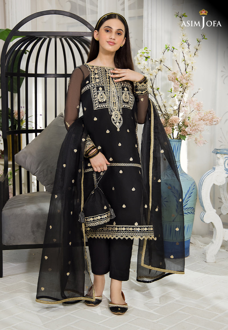 Black Embroidered Organza & Cotton Silk Salwar Kameez (3-Piece) - Image 1