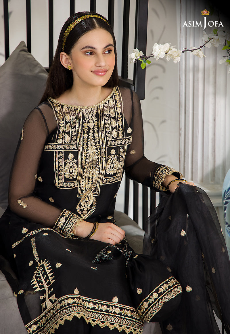 Black Embroidered Organza & Cotton Silk Salwar Kameez (3-Piece) - Image 3