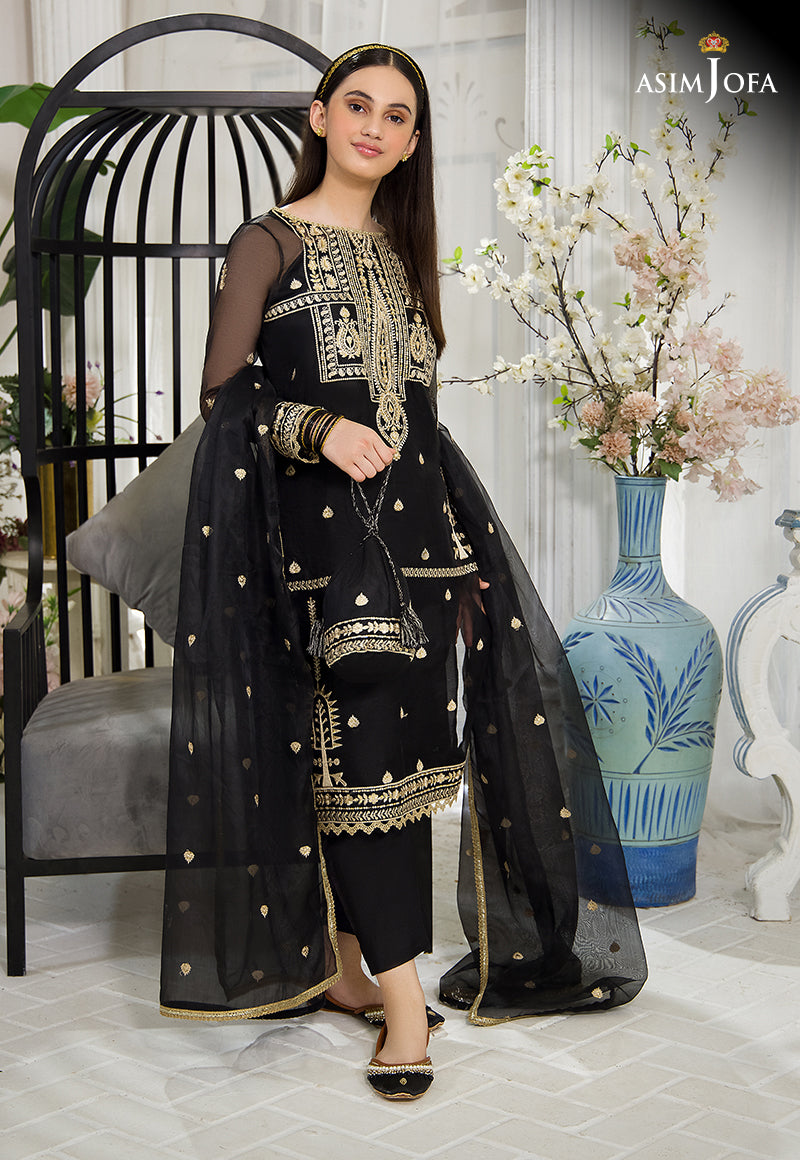 Black Embroidered Organza & Cotton Silk Salwar Kameez (3-Piece) - Image 4