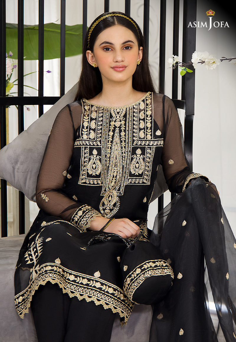 Black Embroidered Organza & Cotton Silk Salwar Kameez (3-Piece) - Image 5