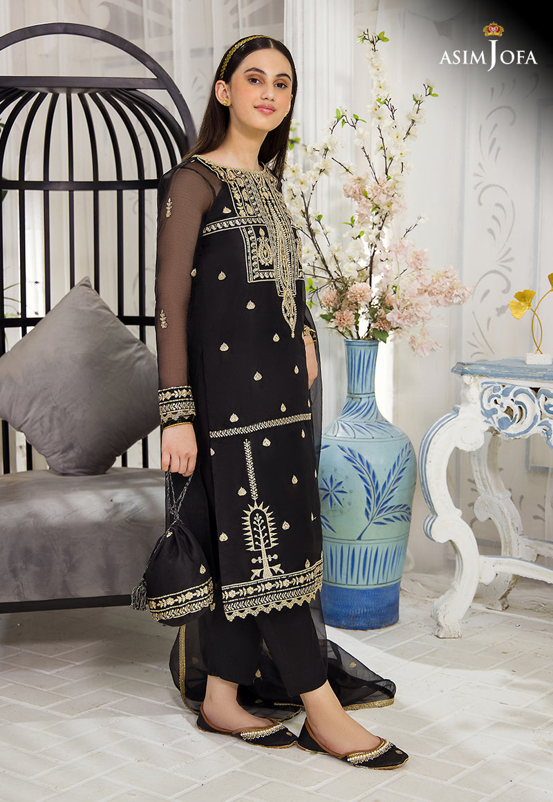 Black Embroidered Organza & Cotton Silk Salwar Kameez (3-Piece) - Image 6