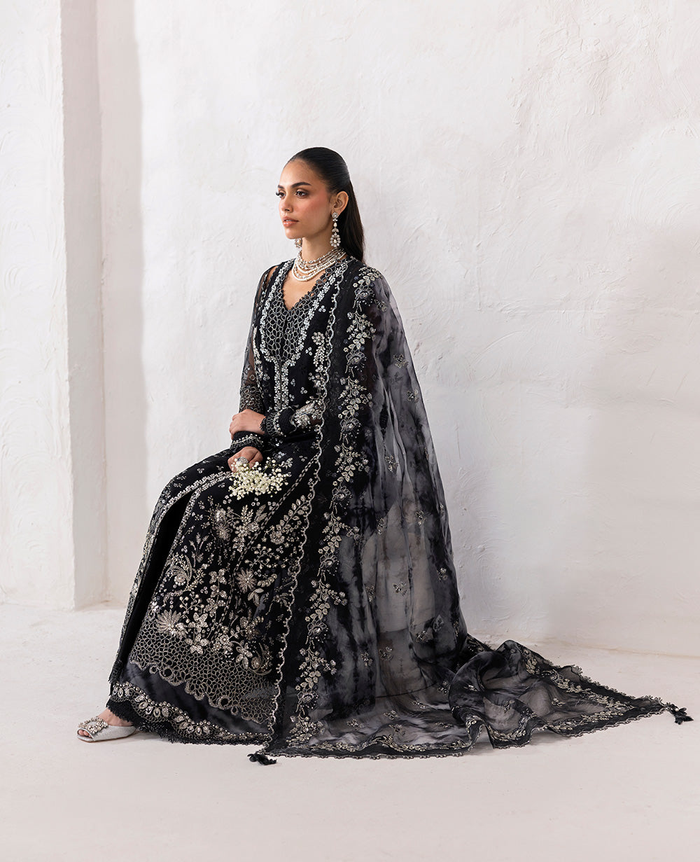 Pakistani Black Embroidered Organza Salwar Kameez (3-Piece) - Image 4