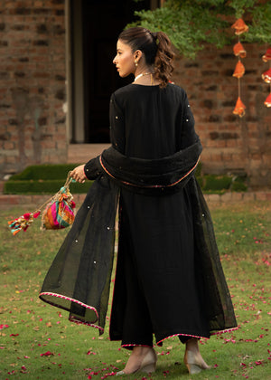 Black Floral Embroidered Organza Salwar Kameez (3-Piece) - Image 5