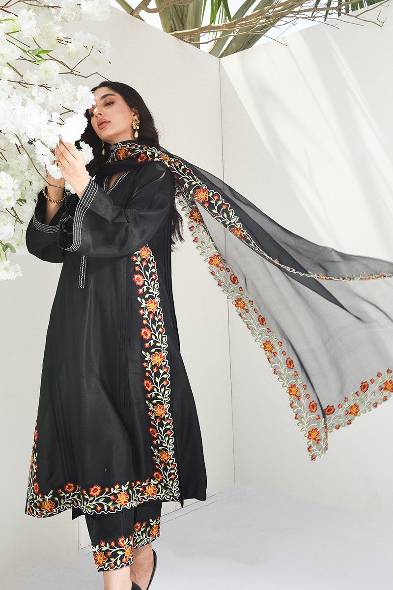 Pakistani Black Embroidered Raw Silk Salwar Kameez (2-Piece) - Image 1