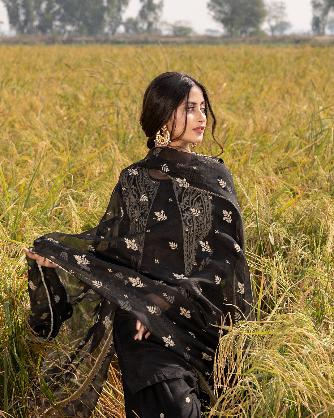 Black Embroidered Organza & Silk Salwar Kameez (3-Piece) - Image 2