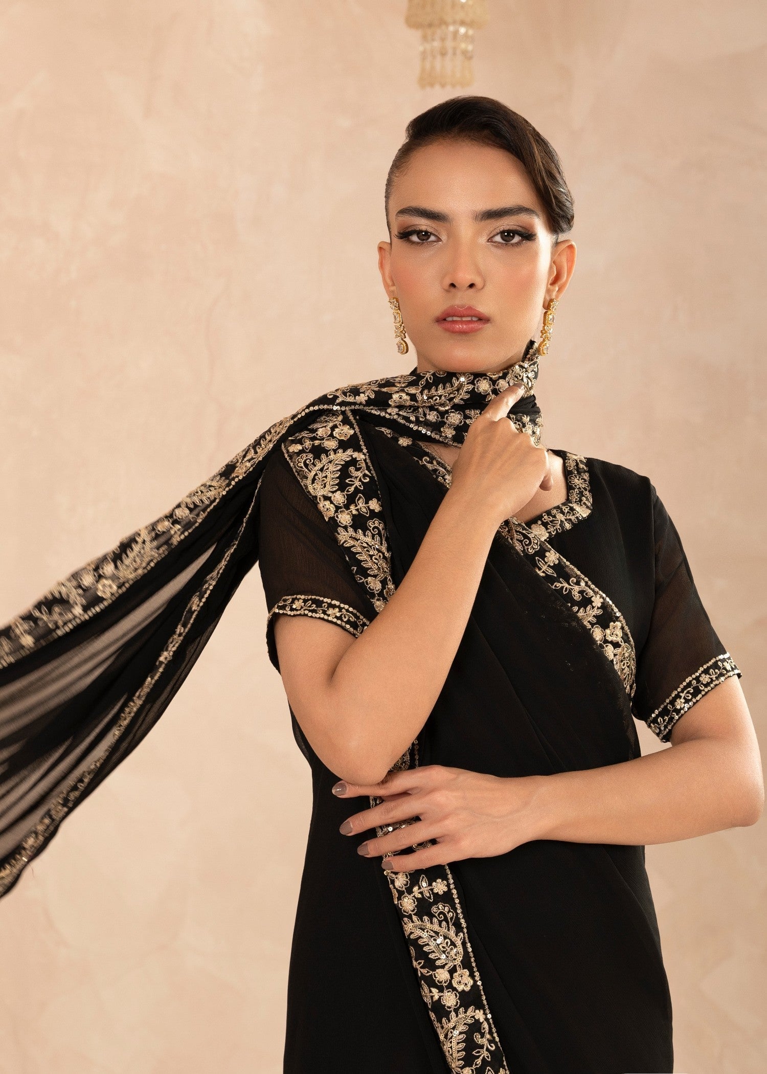 Pakistani Black Embroidered Chiffon Saree (1-Pc) - Image 4
