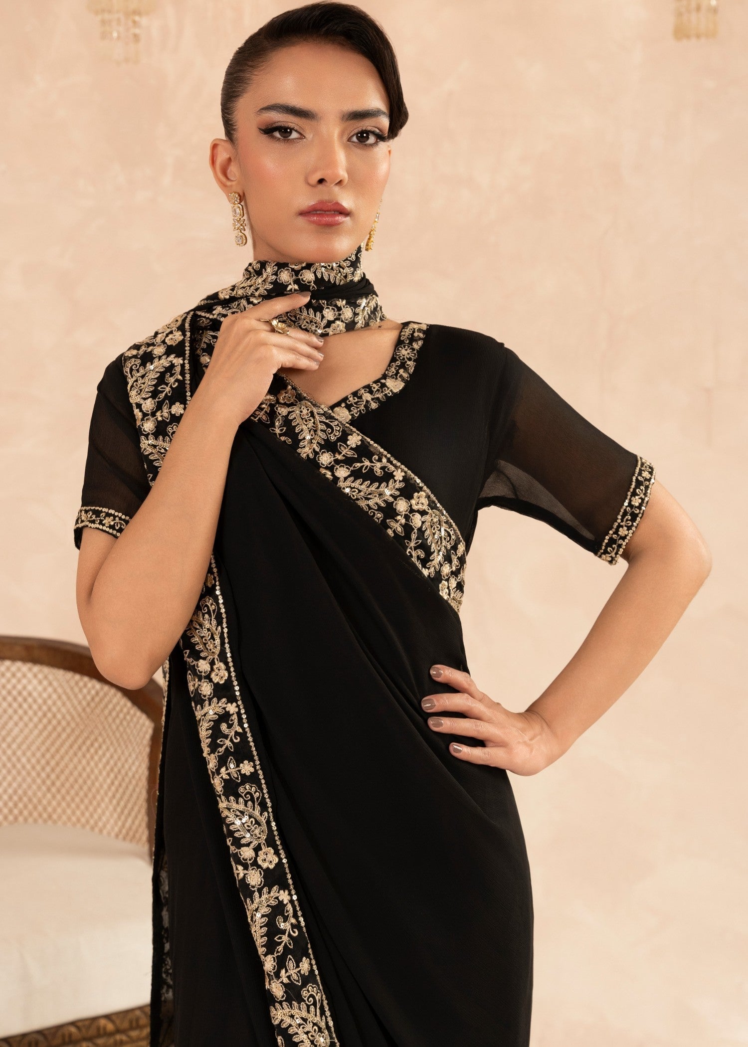 Pakistani Black Embroidered Chiffon Saree (1-Pc) - Image 5