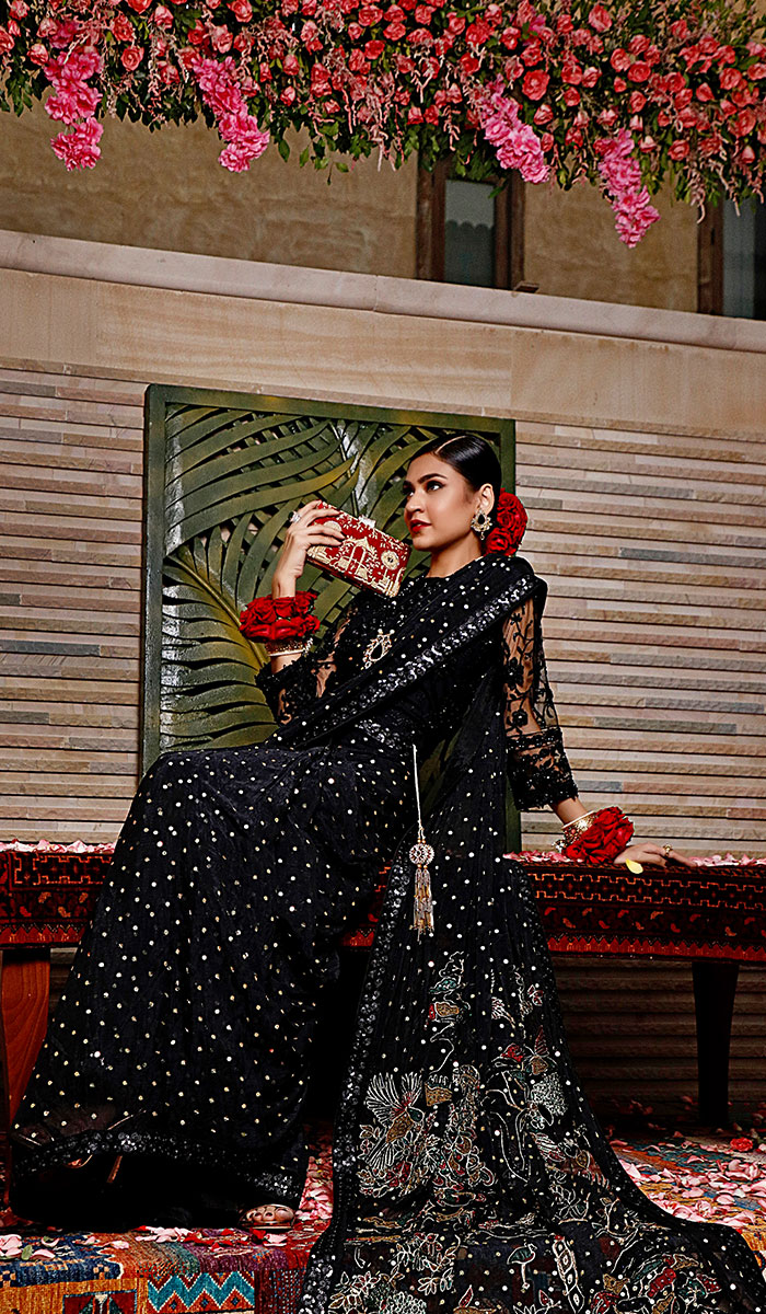 Pakistani Black Embroidered Net Saree (1-Pc) - Image 2