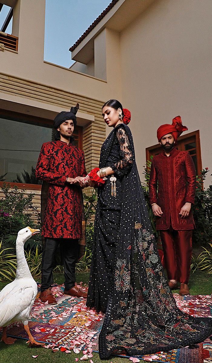 Pakistani Black Embroidered Net Saree (1-Pc) - Image 3