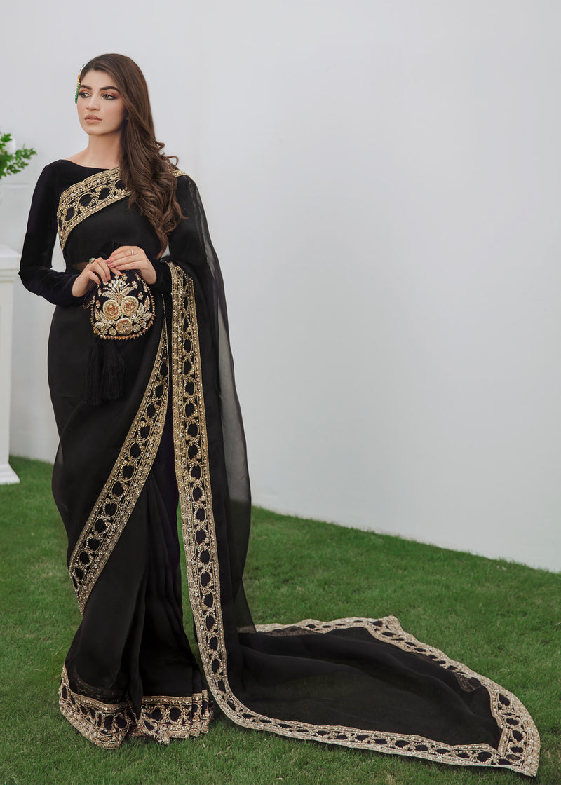 Black Handworked Organza Saree with Velvet Blouse (2-Piece) - Image 1
