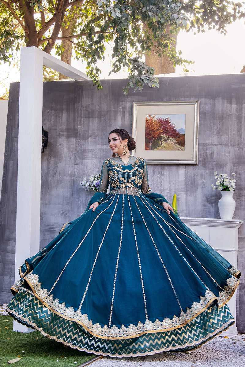Pakistani Cerulean Blue Embroidered Net Anarkali Dress (2-Piece) - Image 1