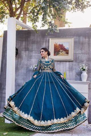 Pakistani Cerulean Blue Embroidered Net Anarkali Dress (2-Piece) - Image 2