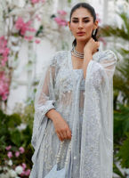 Pakistani Wedgewood Blue Hand-Embellished Organza Cape Dress (2-Piece) - Image 5