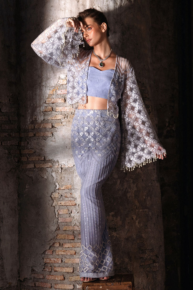 Heather Blue Resham Embroidered Net & Silk Co-ord (3-Piece) - Image 6