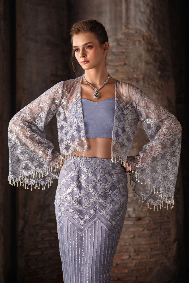 Heather Blue Resham Embroidered Net & Silk Co-ord (3-Piece) - Image 7