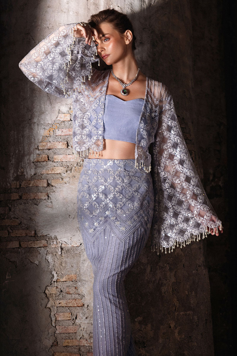 Heather Blue Resham Embroidered Net & Silk Co-ord (3-Piece) - Image 9