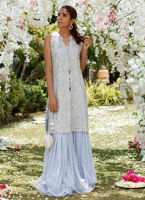 Wedgewood Blue Hand-Embellished Net Jacket with Gharara (2-Piece) - Image 3