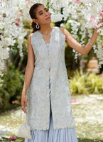 Wedgewood Blue Hand-Embellished Net Jacket with Gharara (2-Piece) - Image 4