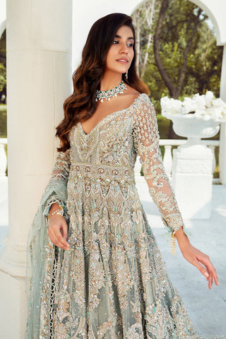 Pakistani Powder Blue Embellished Net Gown (2-Piece) - Image 4