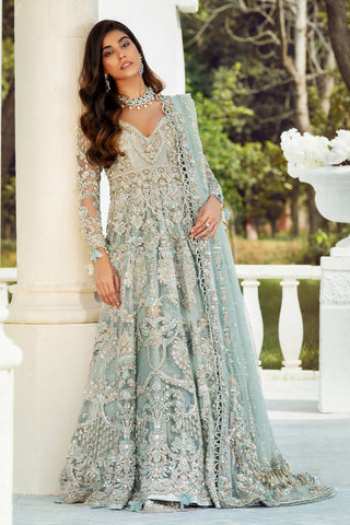 Pakistani Powder Blue Embellished Net Gown (2-Piece) - Image 5