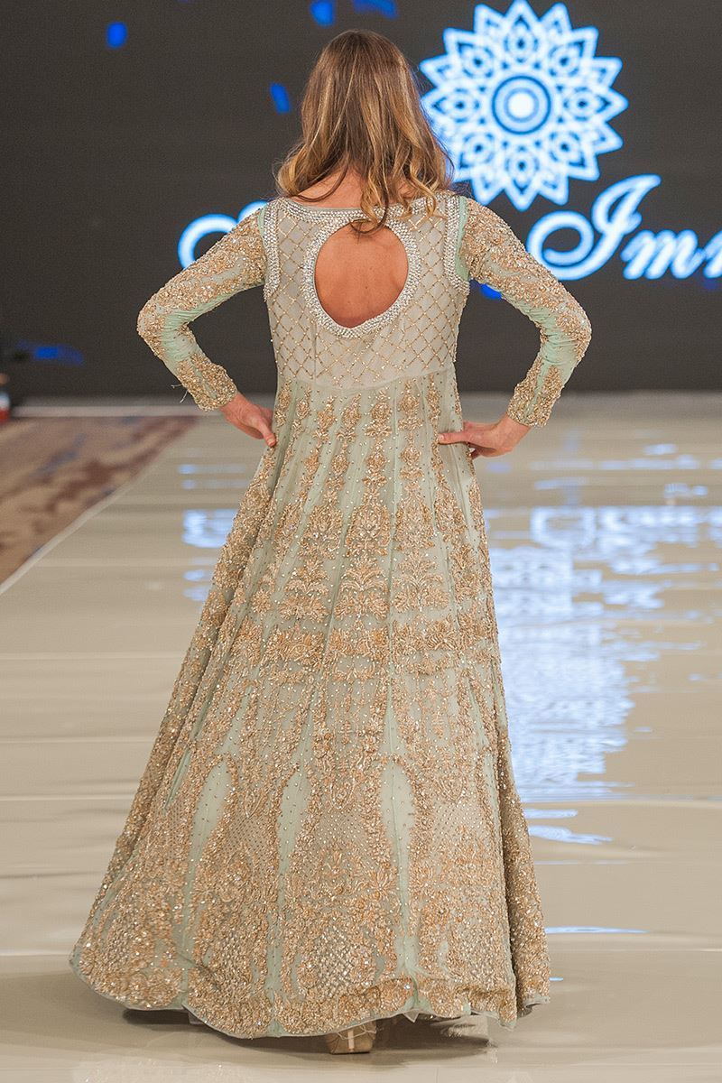 Ice Blue Embellished Net Organza Gown (1-Pc) - Image 3