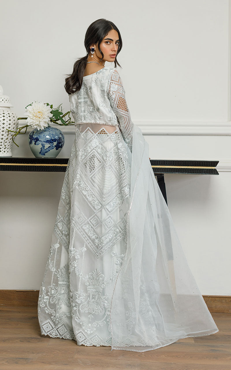 Pakistani Ice Blue Embroidered Organza Gown (3-Piece) - Image 2