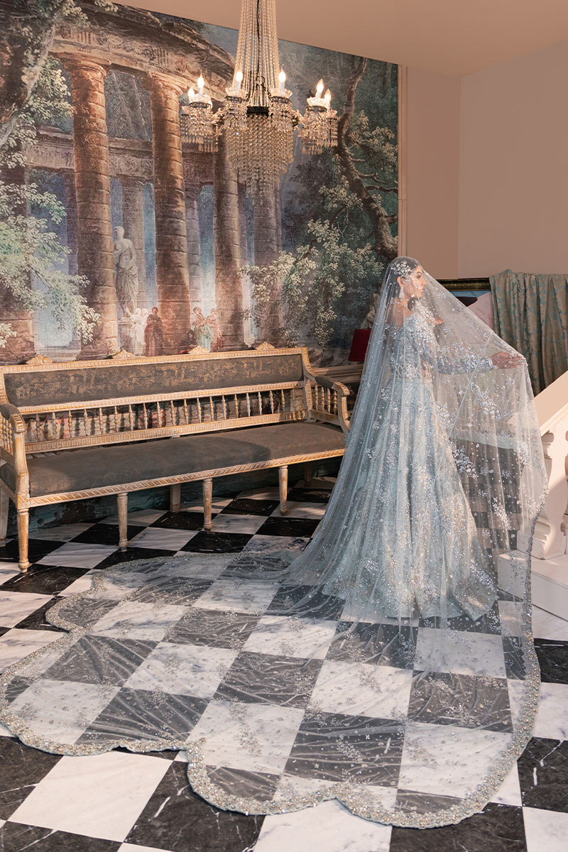 Ice Blue Embellished Silk Net Gown (2-Piece) - Image 4