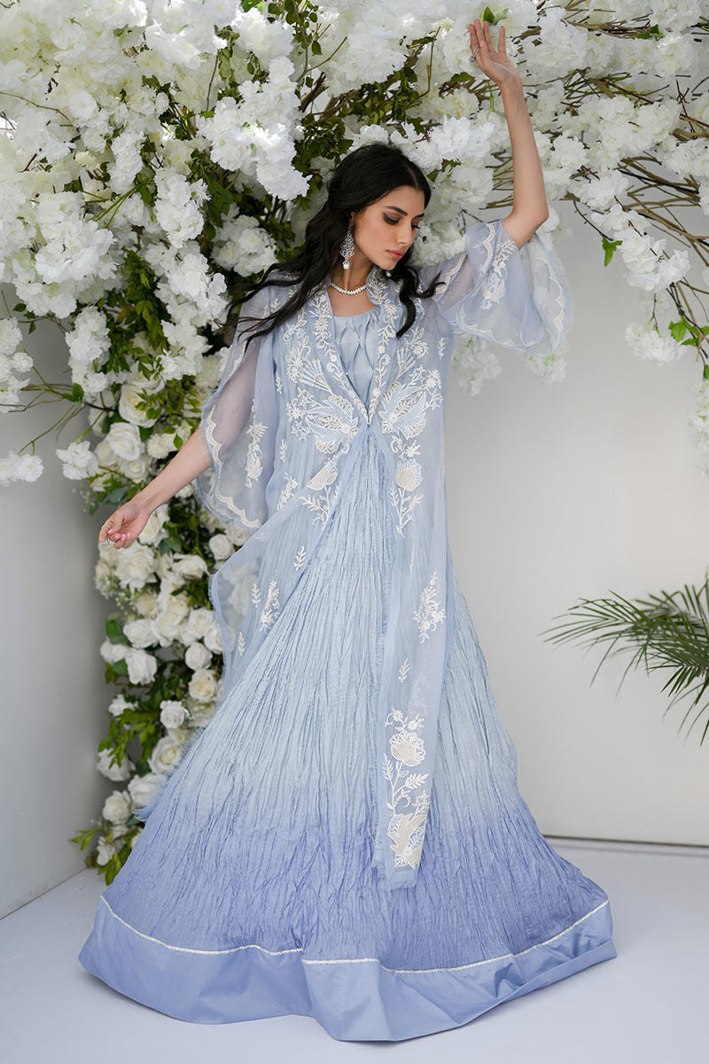 Pakistani Cinderella Blue Embroidered Silk Gown (2-Piece) - Image 1