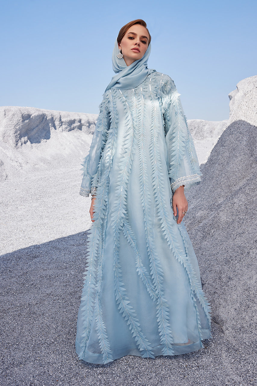 Pakistani Light Blue Embellished Organza Kaftan (2-Piece) - Image 1
