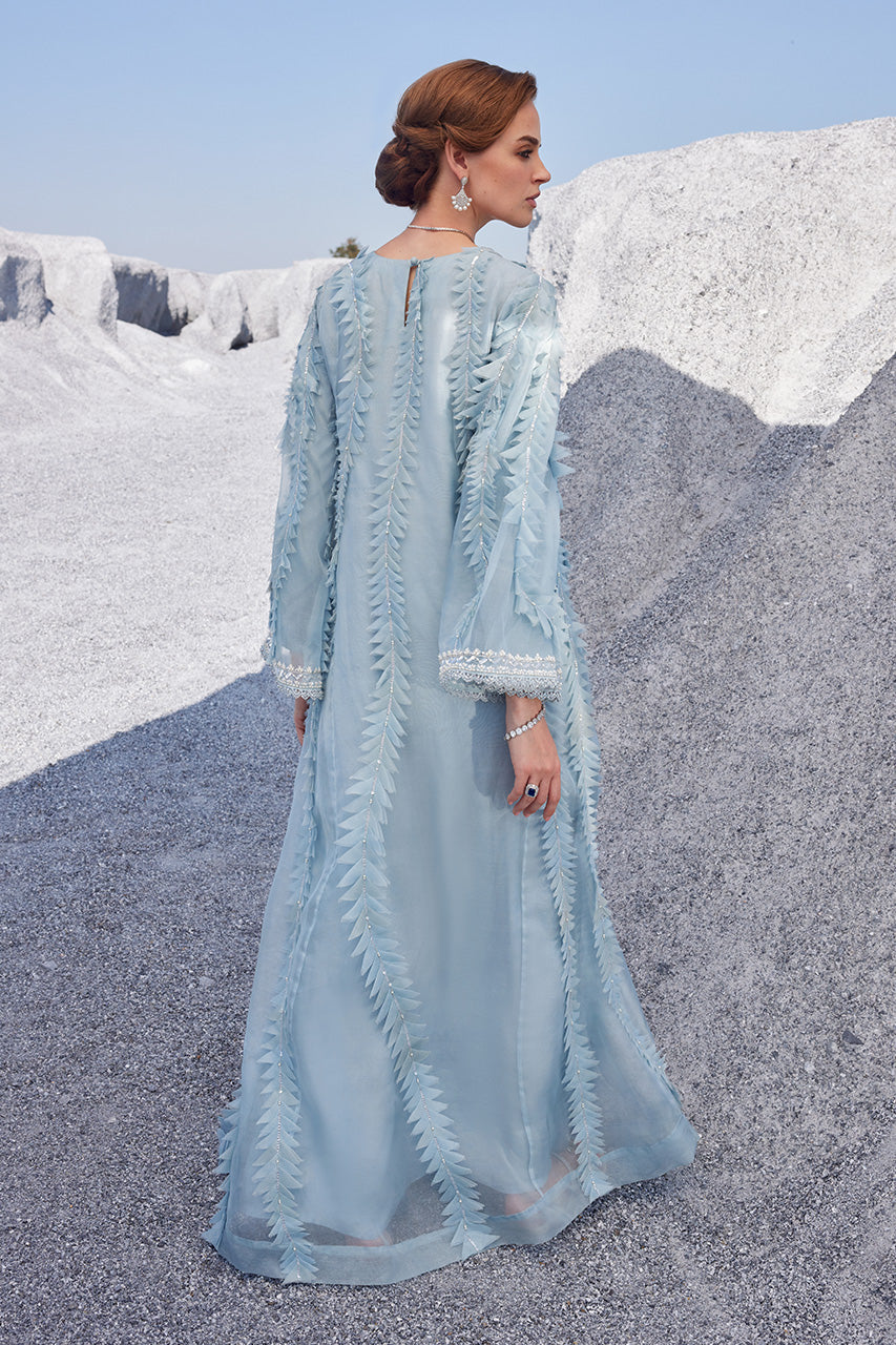 Pakistani Light Blue Embellished Organza Kaftan (2-Piece) - Image 3